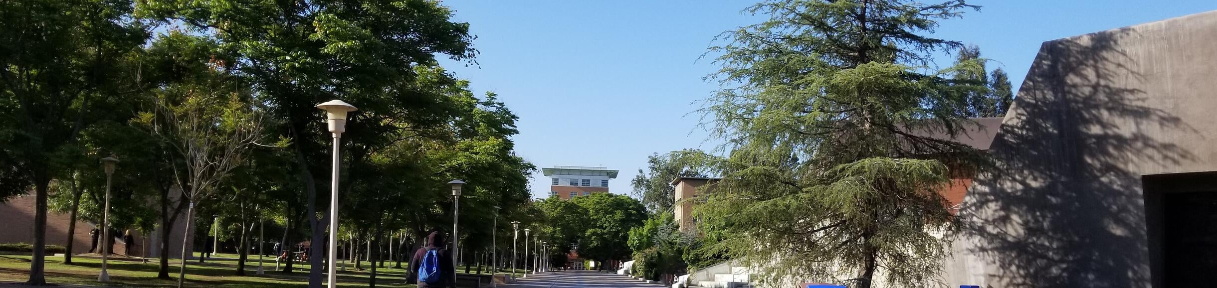 Picture of campus walkway towards Hinderaker Hall